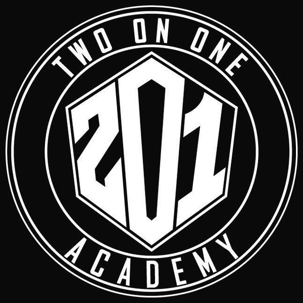 Logo Two On One Academy