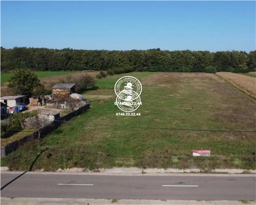 Teren langa padure - de vanzare in Poiana cu Cetate