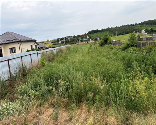 Teren pentru casa Iepureni-Movileni