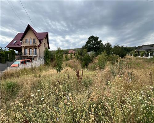 Teren 1000mp intravilan de vanzare Tomesti