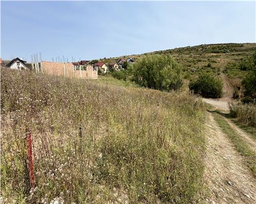 Teren Intravilan 500 mp în Dorobanț, Aroneanu � Toate Utilitățile în Proximitate & Vedere Panoramică