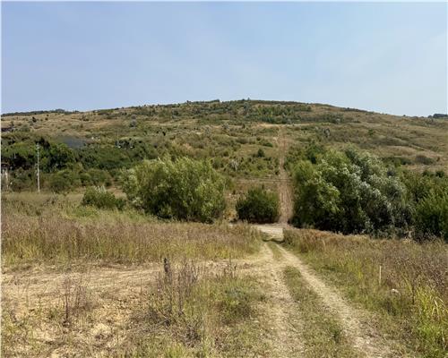 Teren Intravilan 700 mp în Dorobanț, Aroneanu � Toate Utilitățile în Proximitate & Vedere Panoramică