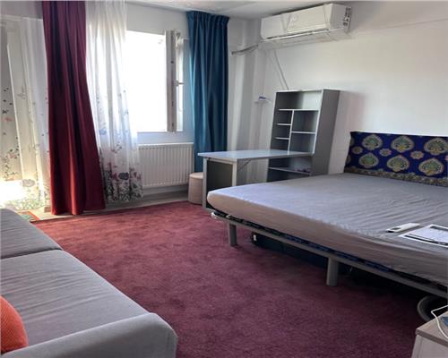 Apartament 1 camera in Bucium