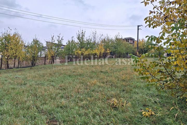 Teren de vanzare Rediu – foto 2
