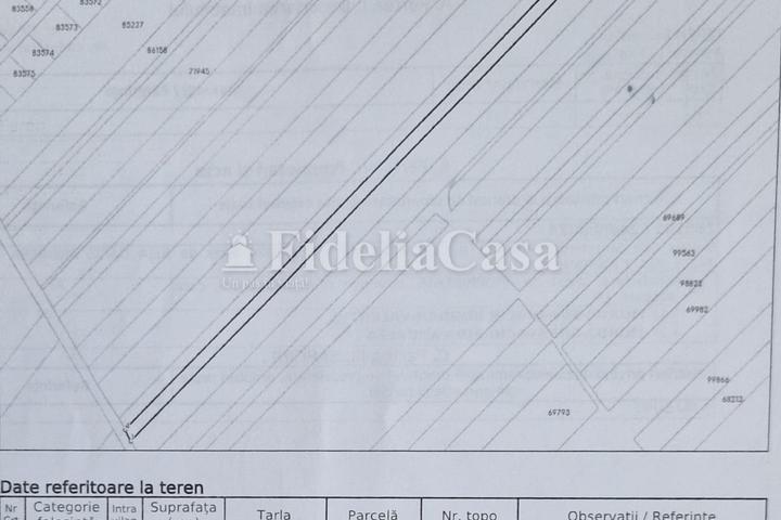 Teren 12500 mp, extravilan de vanzare, Proselnici - Miroslava