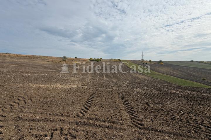 Teren Cuza Voda,Com Popricani – foto 2