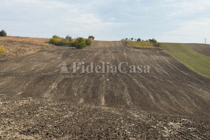 Teren Cuza Voda,Com Popricani – foto 3