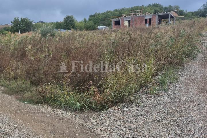 Teren pentru casa Valea Lupului-Valea Prisacii – foto 2