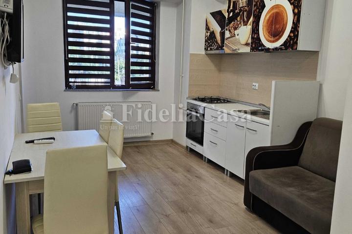 Apartament cu 2 camere Zona Palas-Sf. Lazar – foto 3
