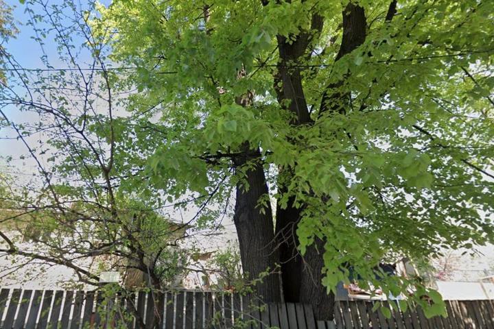 Teren de vanzare Iasi Centru – foto 2