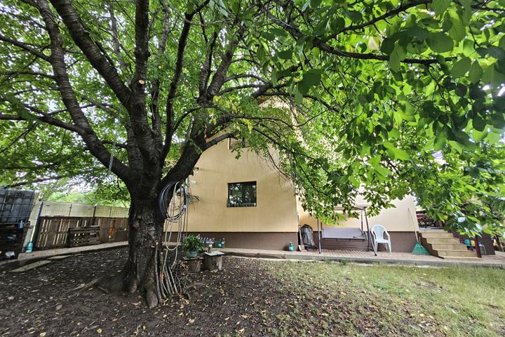 Vilă Individuala 5 camere în Aroneanu Iași – 160 mp Utili Teren 786 mp & Anexă Locuibilă