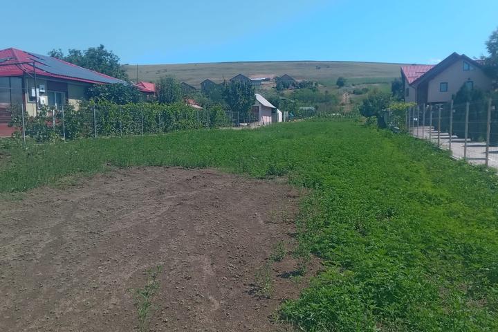 Teren pentru constructii case de vanzare Iasi Bogonos