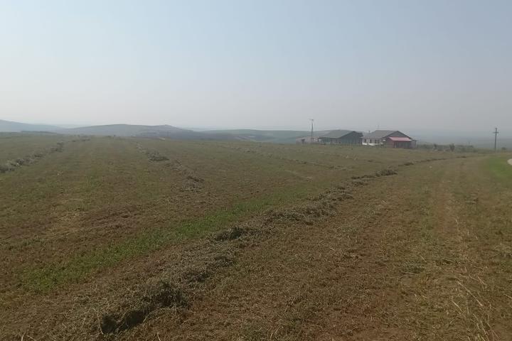 Teren pentru constructii case de vanzare Iasi Horlesti