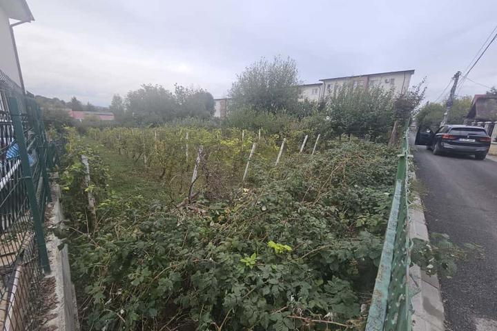 Teren pentru constructii case de vanzare Iasi Valea Lupului
