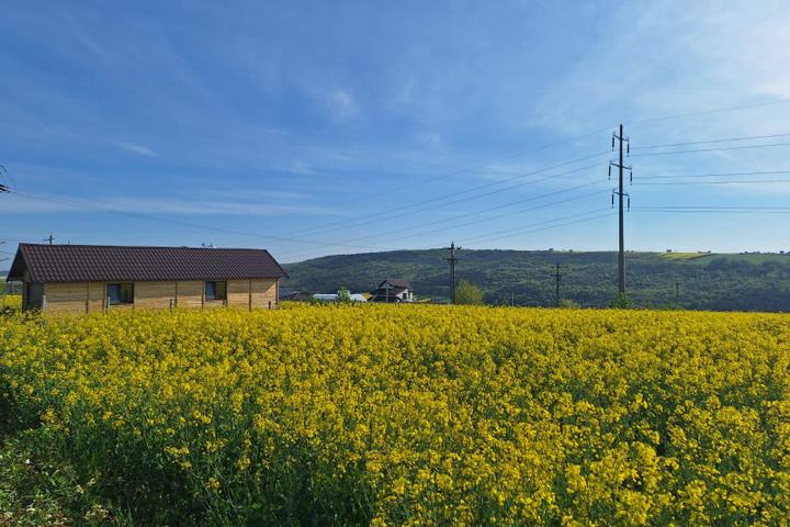 Loturi de teren Valea Lupului
