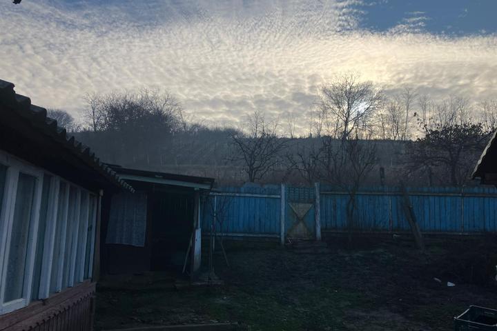 Terenuri de vanzare Iasi Vorovesti