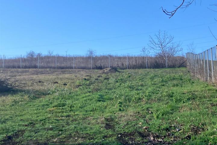 Terenuri de vanzare Iasi Vorovesti