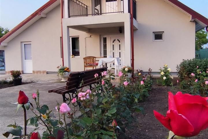 Vila de vanzare Stejari