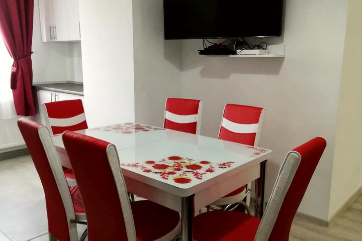 Apartament 2 camere de inchiriat Pacurari – foto 2
