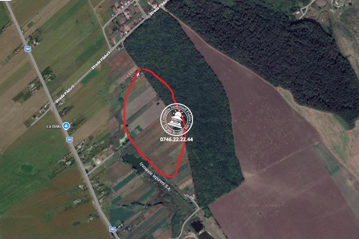 Teren Iepureni la padure