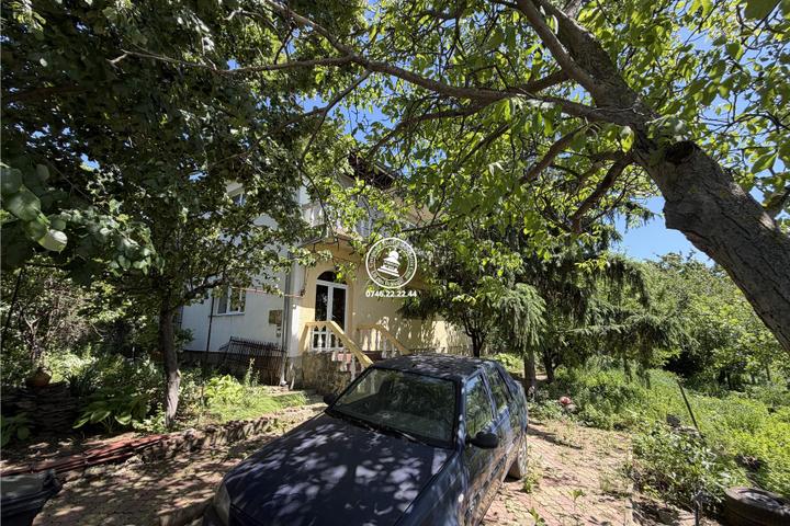 Case vile de vânzare Vișan Iași