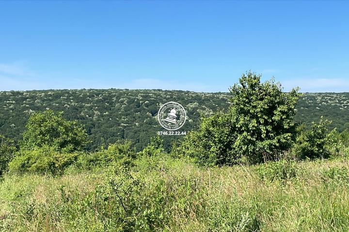 Teren de vanzare 7400mp Slobozia - Ciurea