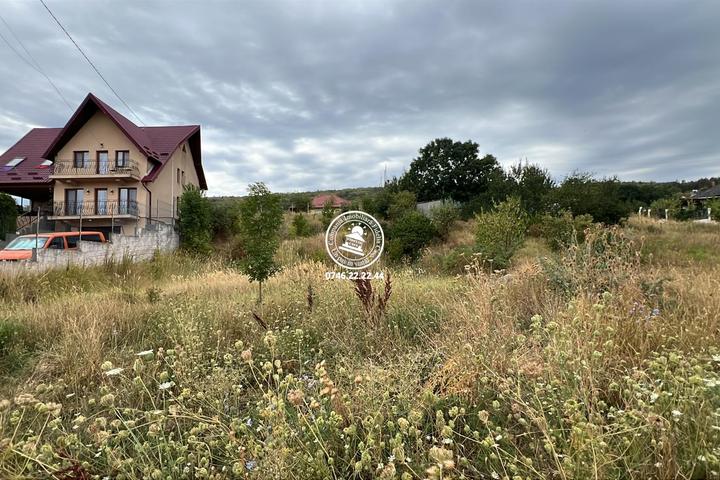 Teren 1000mp intravilan de vanzare Tomesti