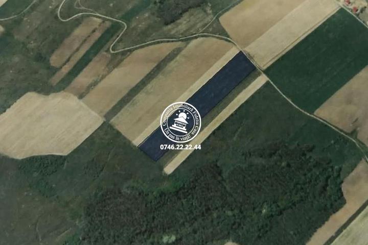 Teren Extravilan 20.700 mp de vanzare Schitu Duca