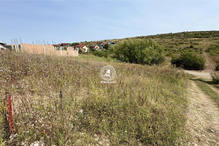 Teren Intravilan 500 mp în Dorobanț Aroneanu – Toate Utilitățile în Proximitate & Vedere Panoramică