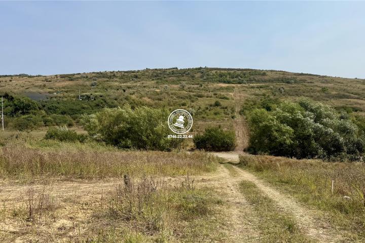 Teren Intravilan 700 mp în Dorobanț Aroneanu – Toate Utilitățile în Proximitate & Vedere Panoramică