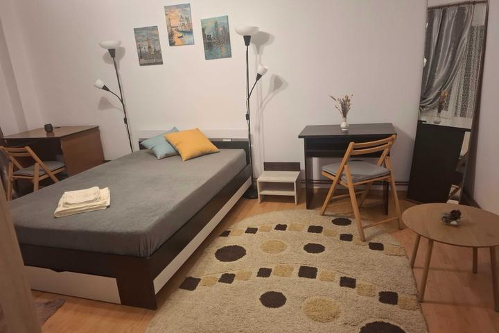 Garsonieră (1 cameră) de închiriat, Piața Dacia, recent renovată, centrală proprie – foto 3