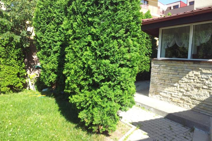 Vila de vanzare 9 camere de vanzare, Centru Civic - Iasi – foto 2