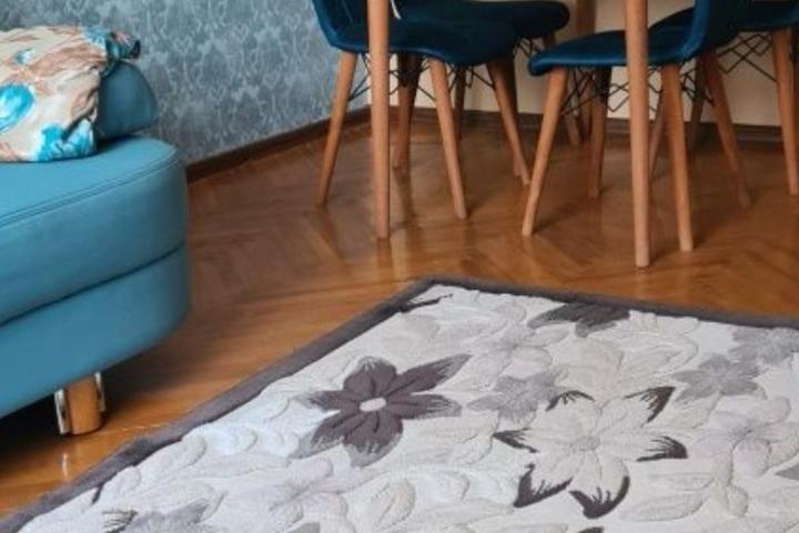 Apartament cu 2 camere Zona Nicolina – foto 2