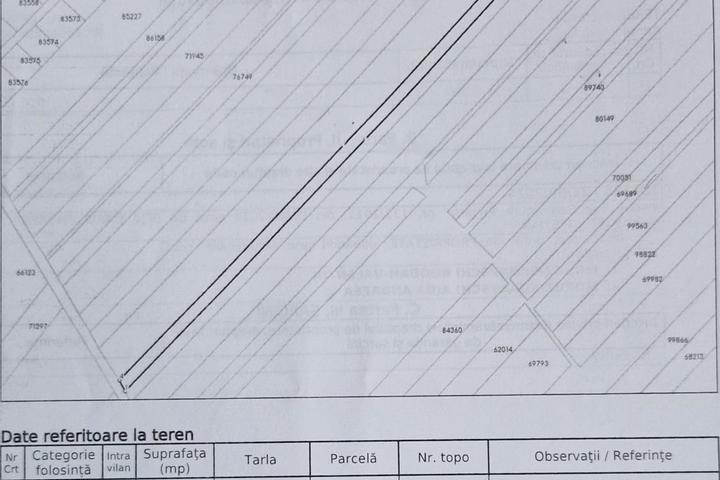 Teren 12500 mp, extravilan de vanzare, Proselnici - Miroslava – foto 2