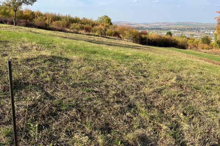 Teren 1240 mp intravilan de vanzare, Vladiceni - Iasi – foto 2