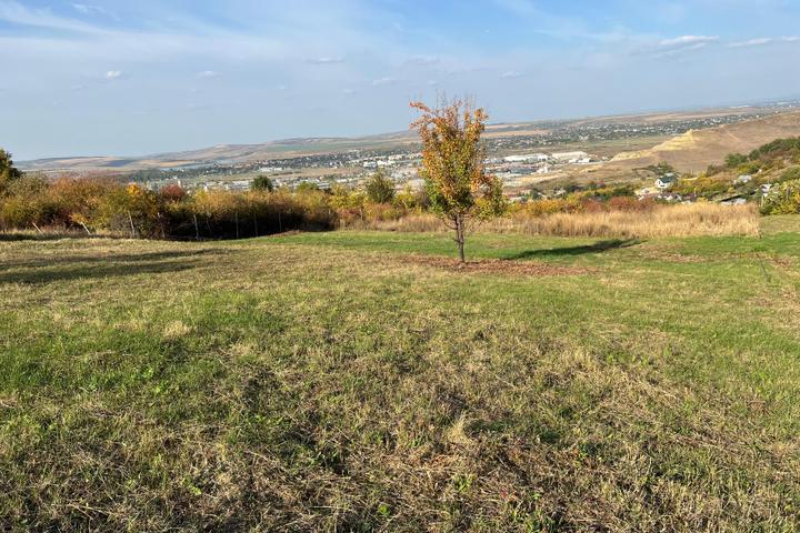Teren 1240 mp intravilan de vanzare, Vladiceni - Iasi – foto 3