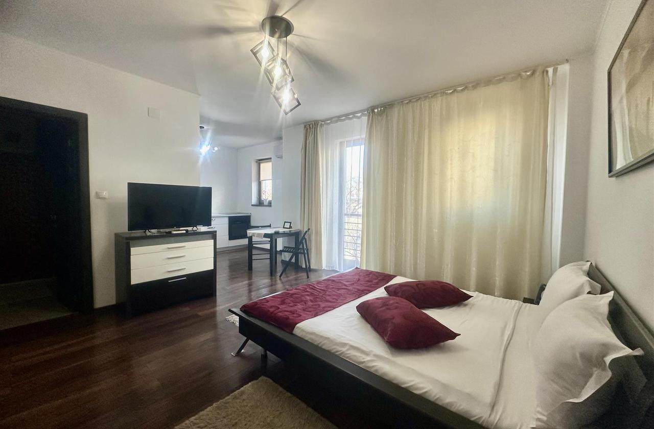 Apartament 1 camera de vanzare Centru