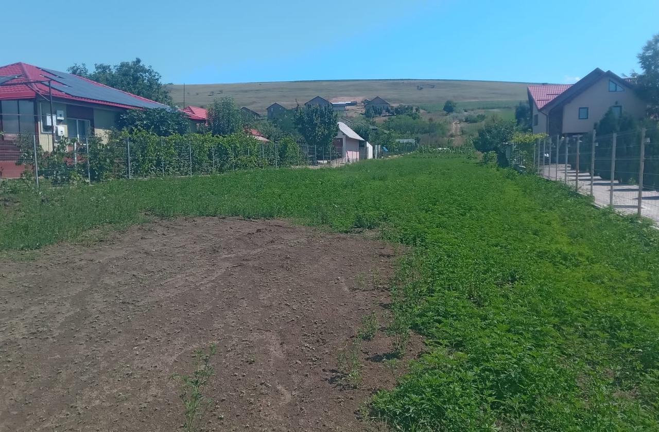 Teren pentru constructii case de vanzare Iasi Bogonos