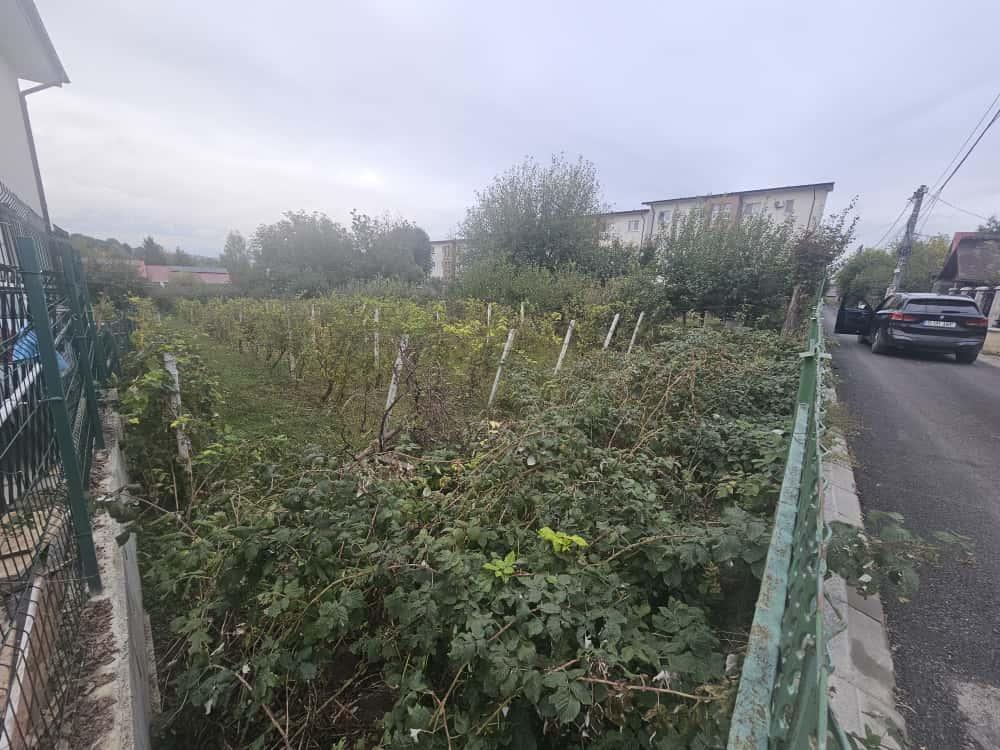 Teren pentru constructii case de vanzare Iasi Valea Lupului