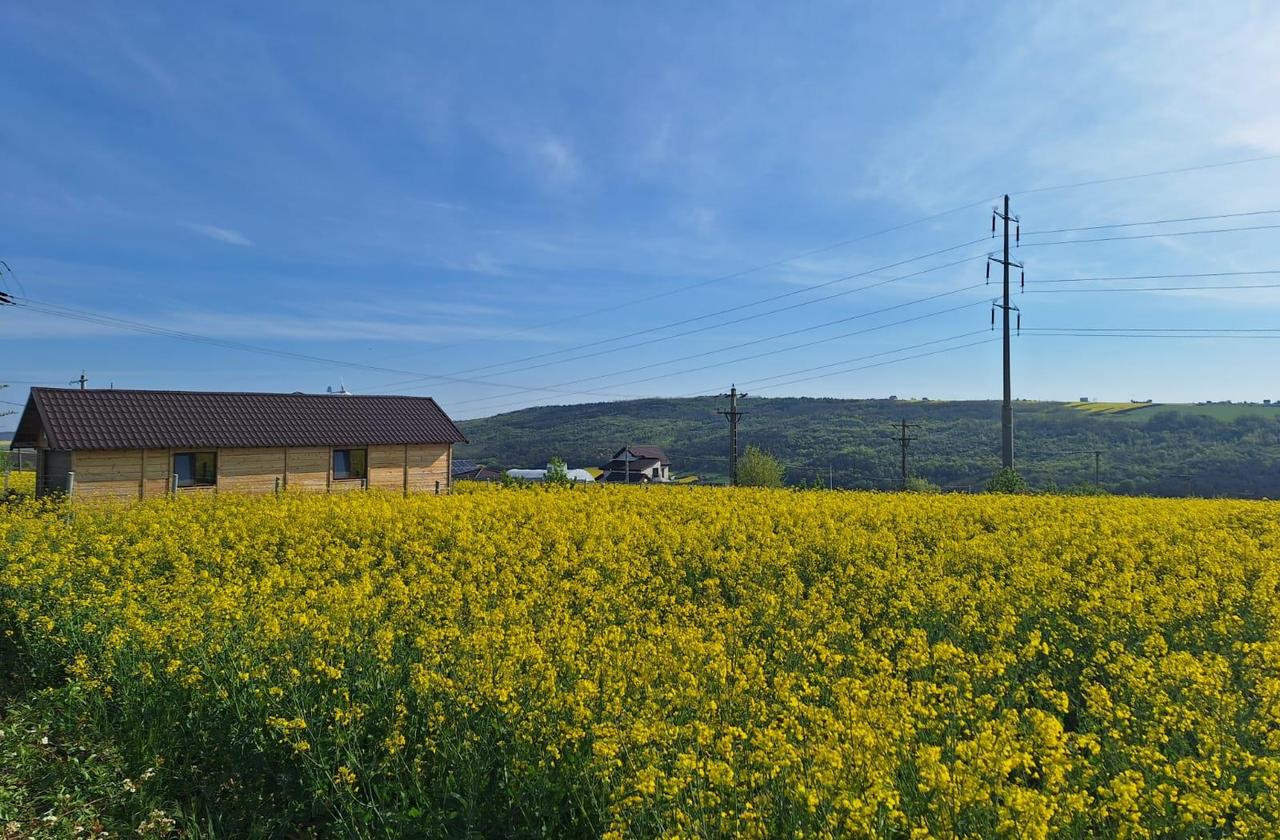 Loturi de teren Valea Lupului
