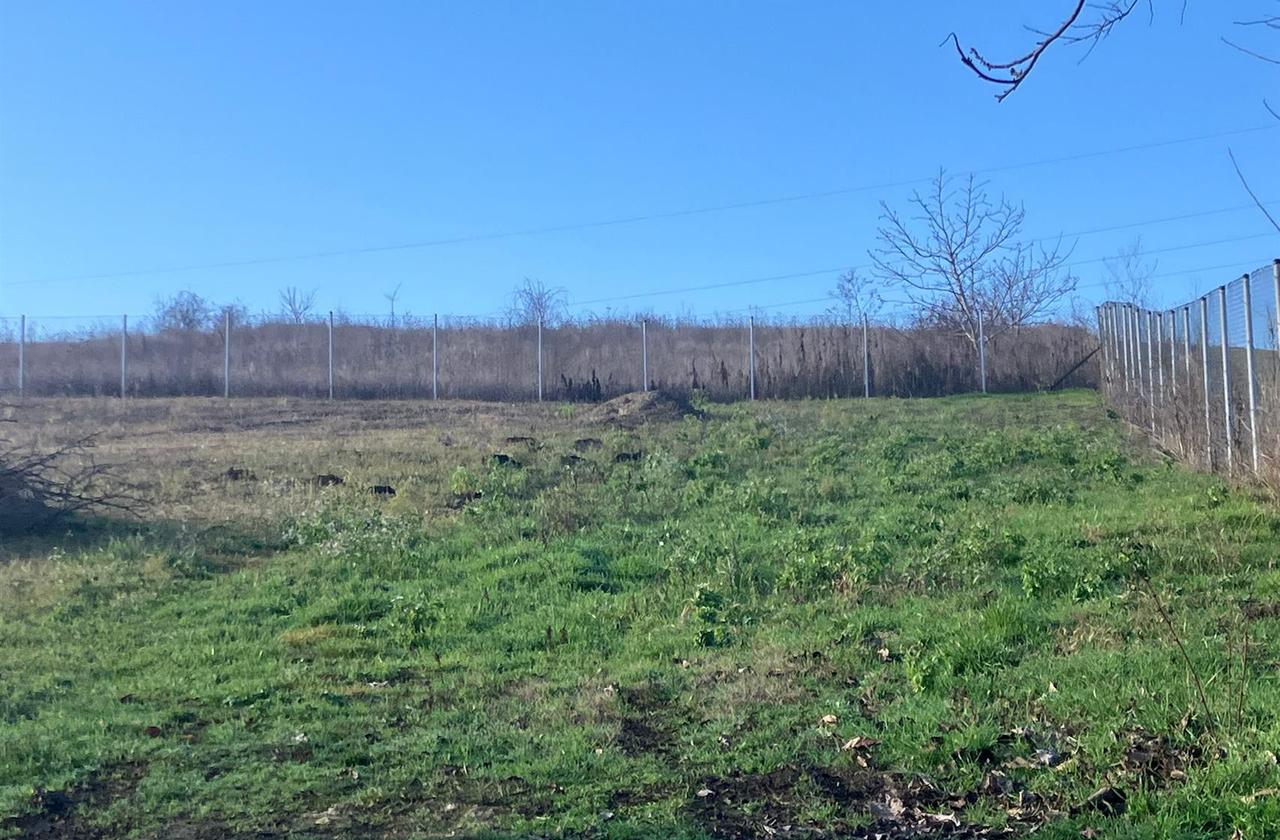 Terenuri de vanzare Iasi Vorovesti