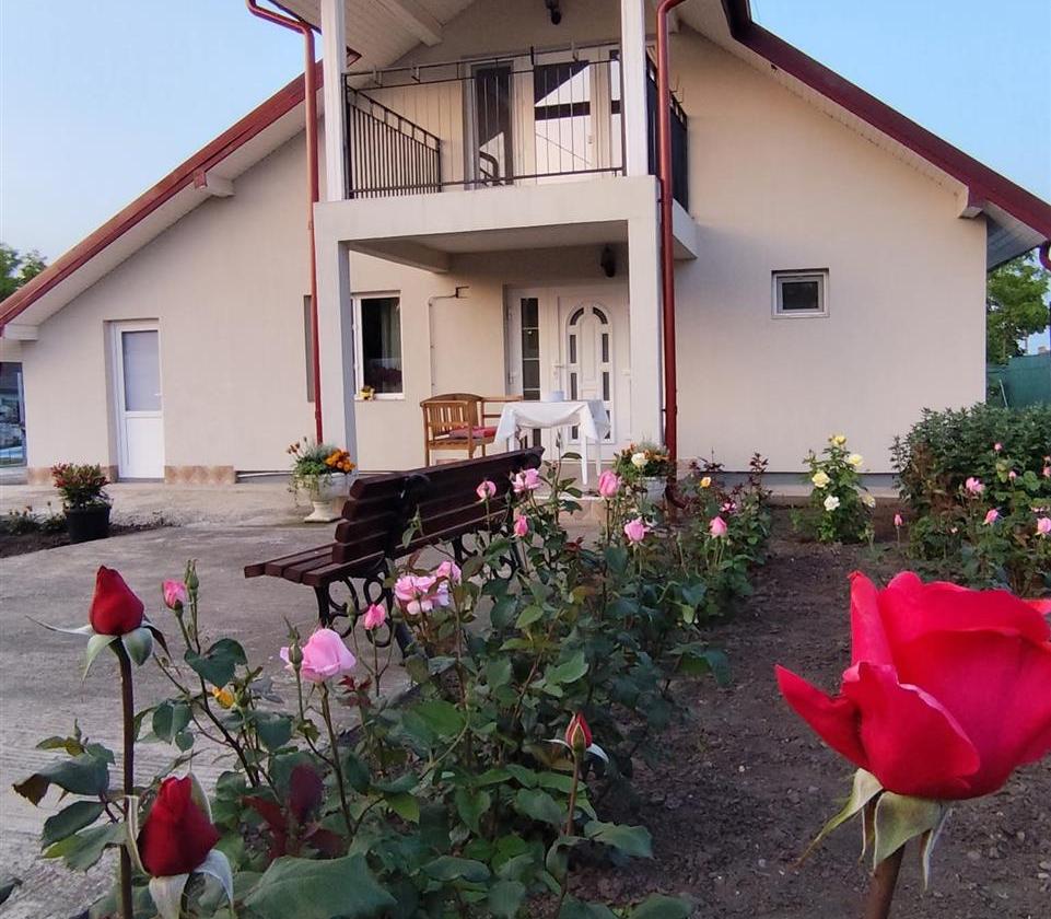 Vila de vanzare Stejari