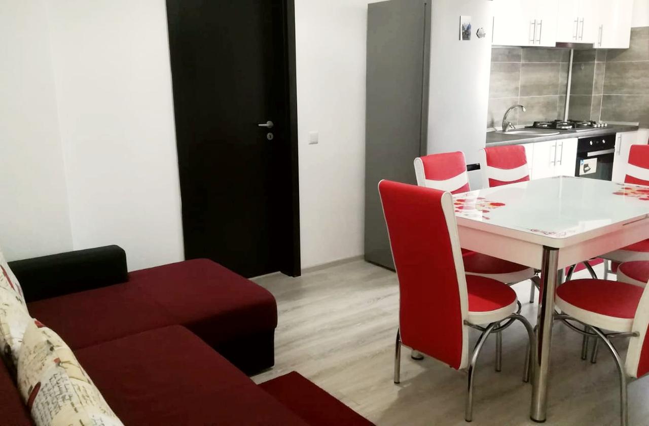 Apartament 2 camere de inchiriat Pacurari