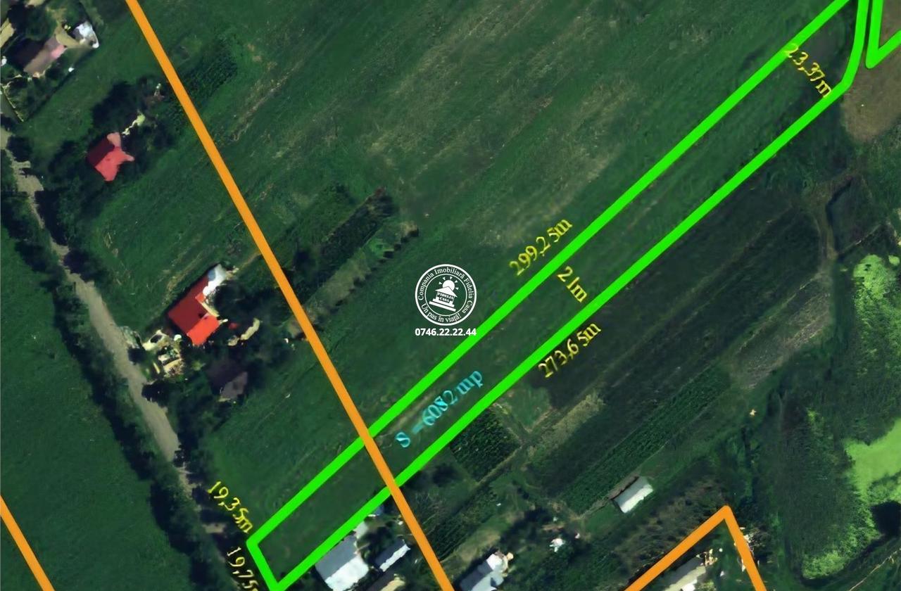 teren pentru constructii Iepureni Movileni