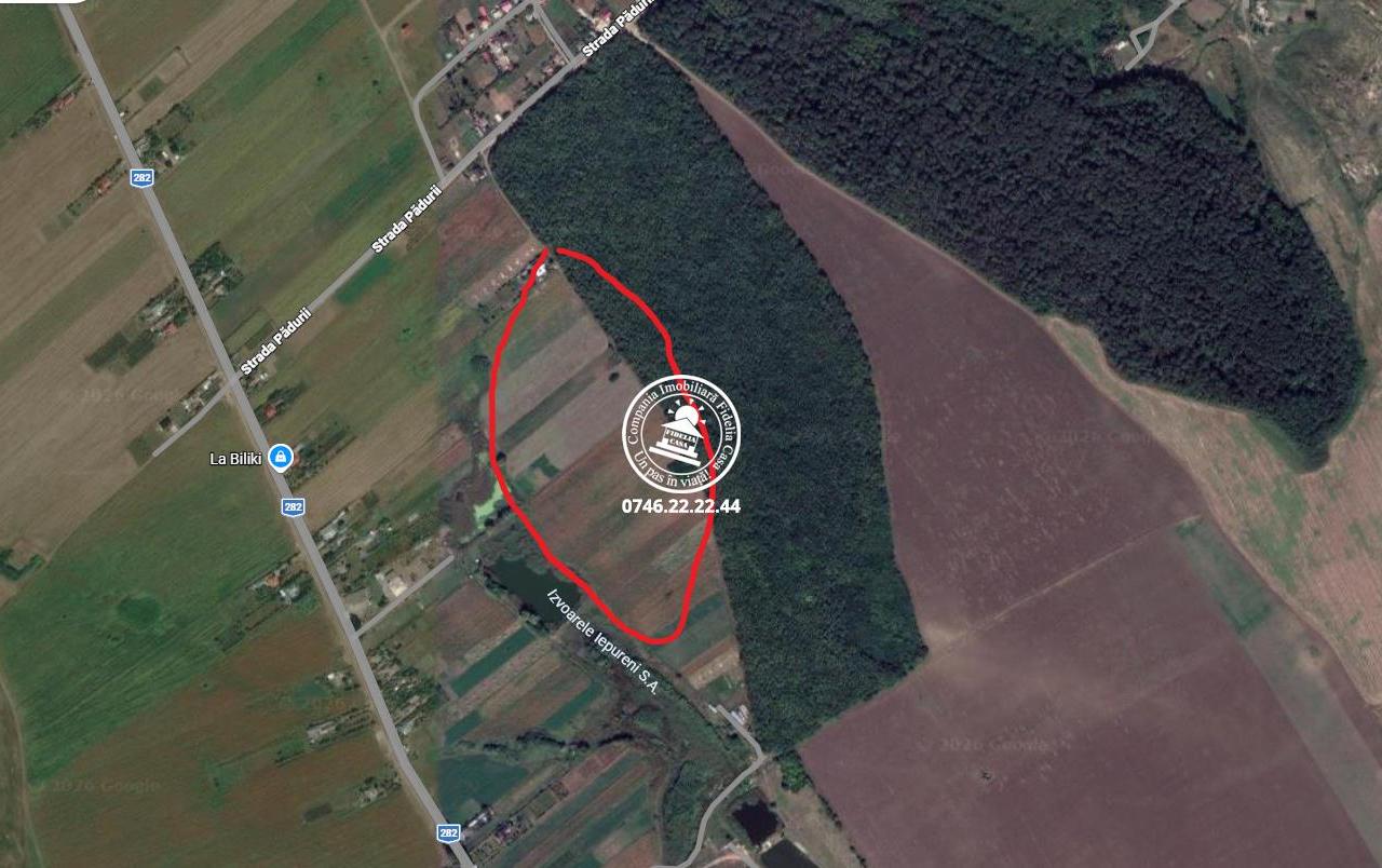 Teren Iepureni la padure