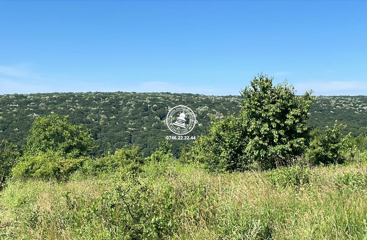 Teren de vanzare 7400mp Slobozia - Ciurea