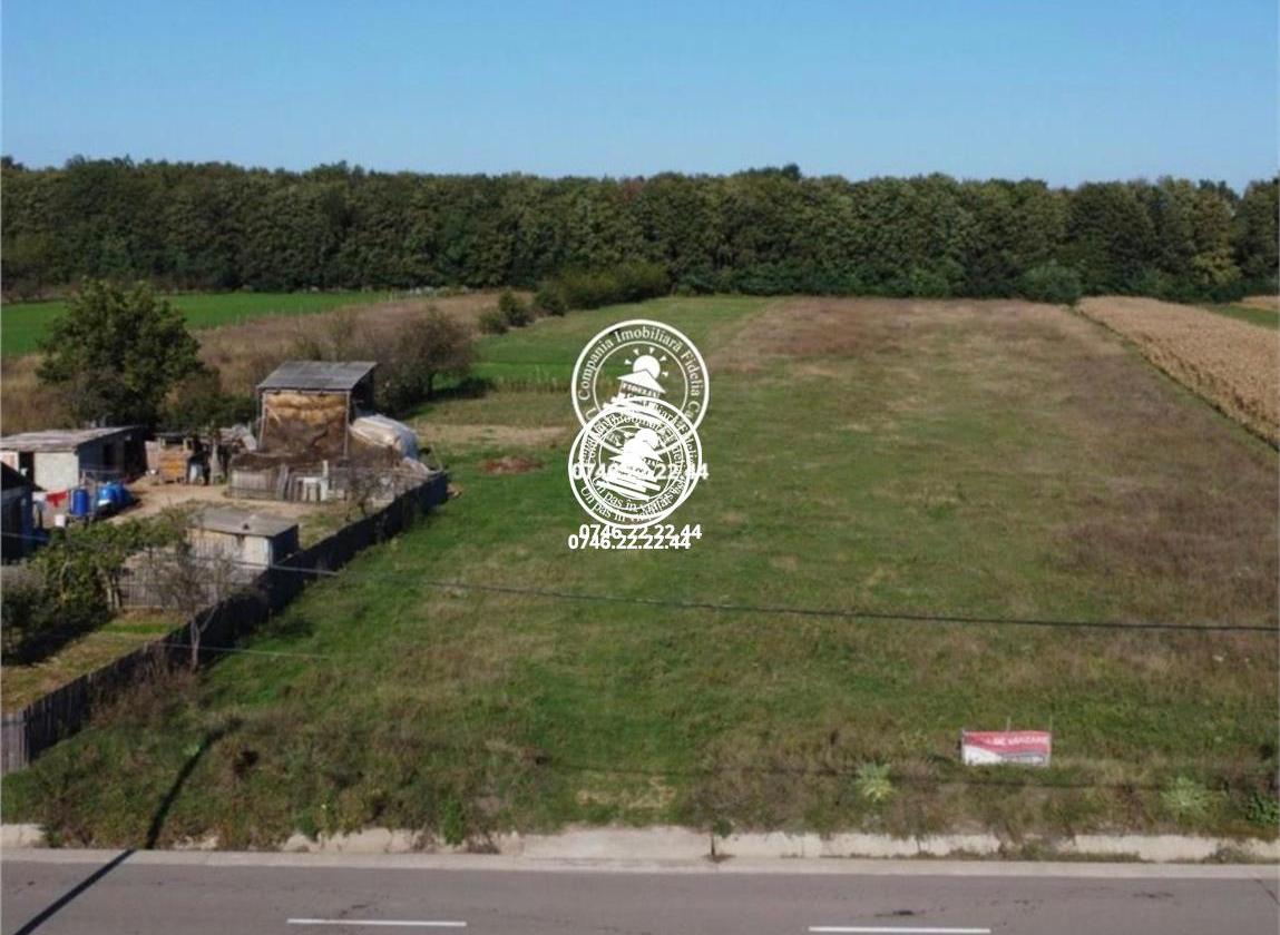 Teren langa padure - de vanzare in Poiana cu Cetate
