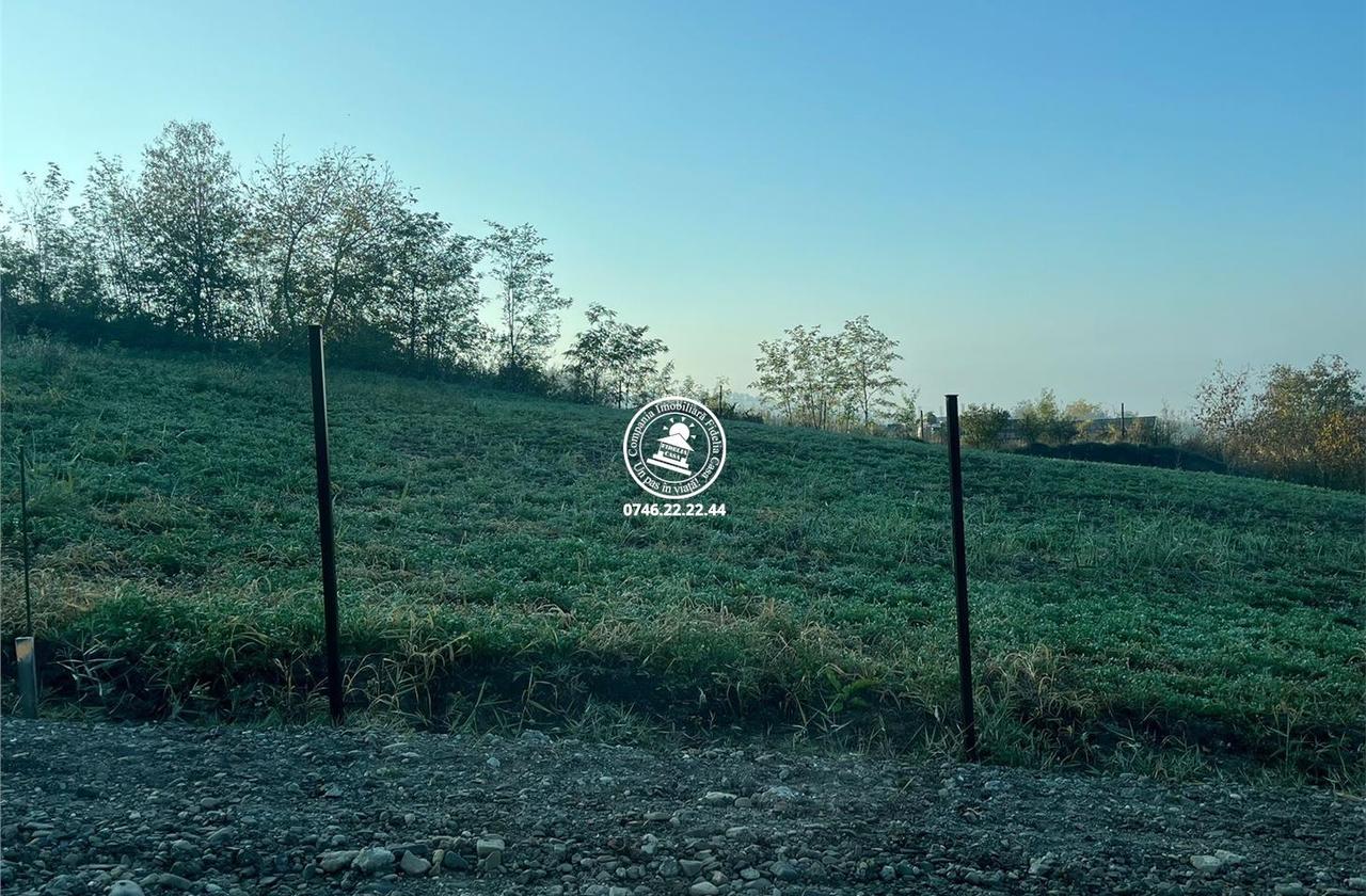Teren pentru casa Valea Lupului