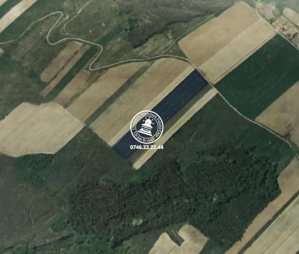 Teren Extravilan 20.700 mp de vanzare Schitu Duca