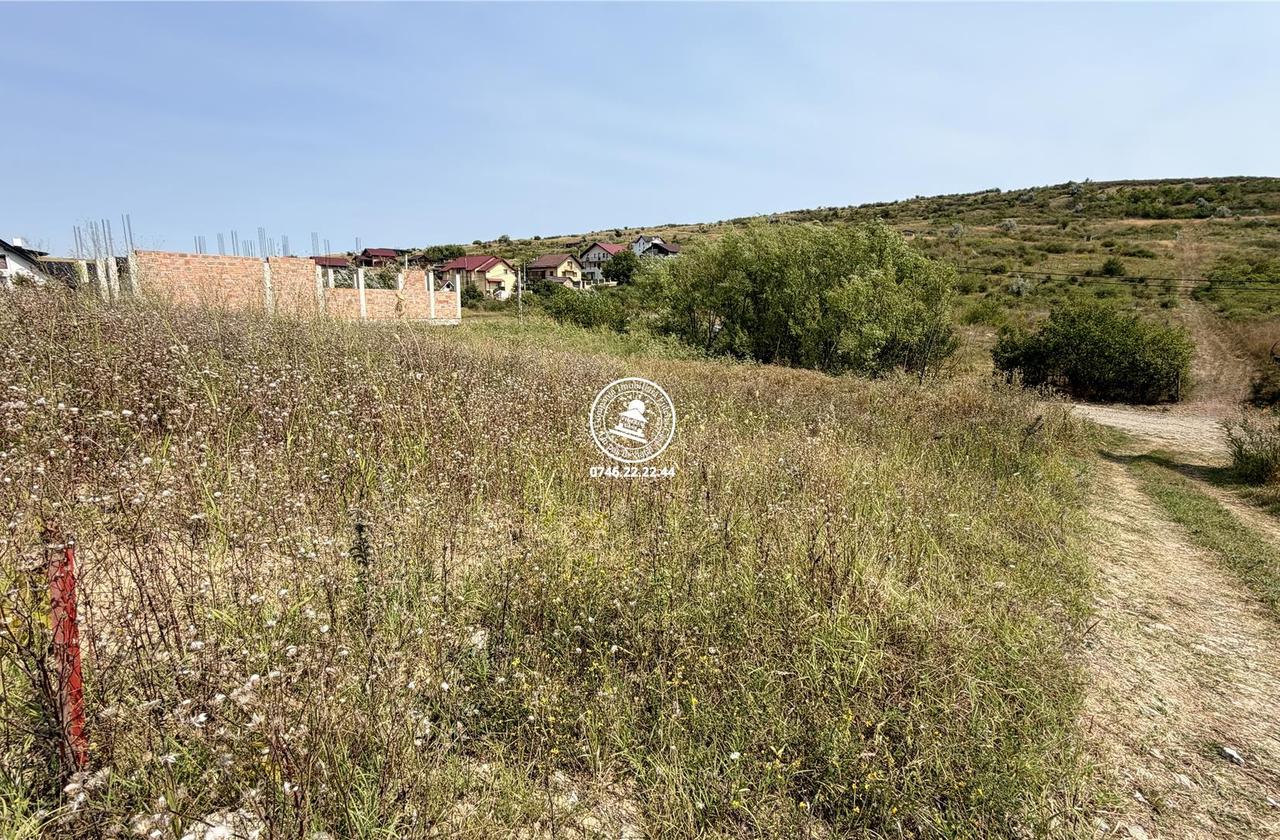Teren Intravilan 500 mp în Dorobanț Aroneanu – Toate Utilitățile în Proximitate & Vedere Panoramică